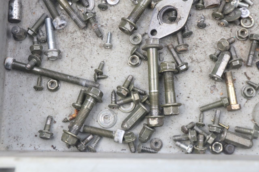 photo de SACCHETTO VITI VITE JM MOTORS SUNNY 50 (2017 - 2020) - Dettaglio del componente