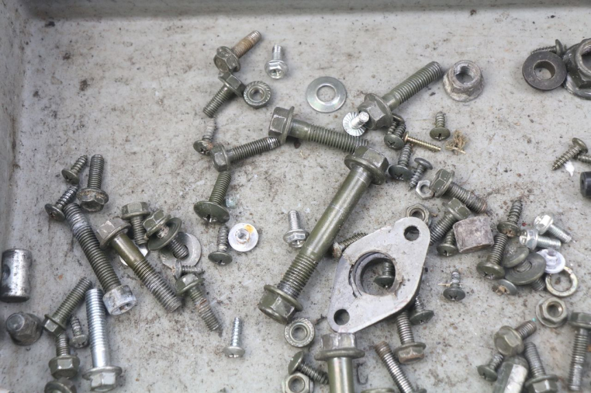 photo de SACCHETTO VITI VITE JM MOTORS SUNNY 50 (2017 - 2020) - Primo piano tecnico