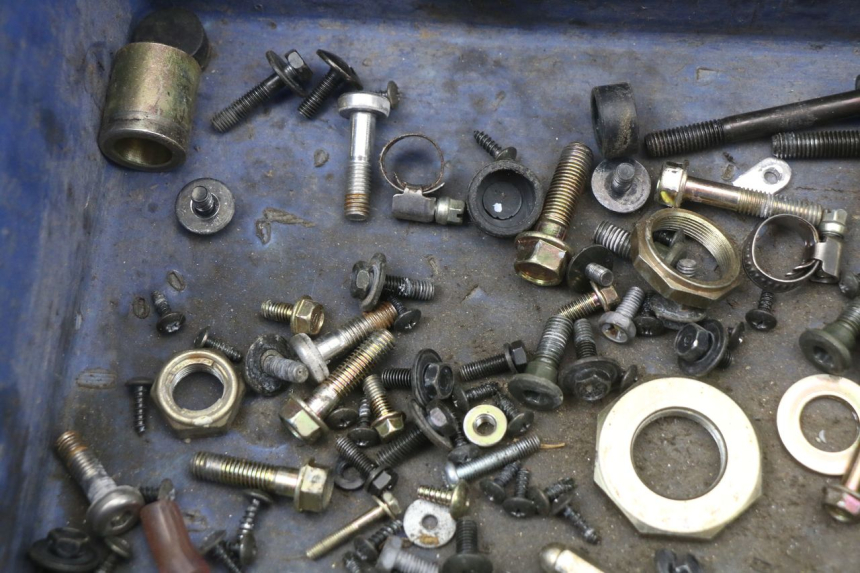 photo de SACCHETTO VITI VITE KYMCO SUPER 8 4T 50 (2018 - 2020) - Dettaglio del componente