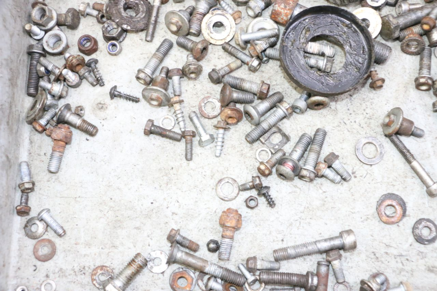 photo de VITI KTM SUPERENDURO R 950 (2005 - 2009) - Altra angolazione