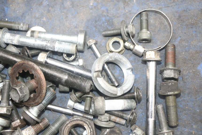 photo de SAC VITI VITE SUZUKI SV N 650 (1999 - 2002) - Zoom sullo stato d'uso