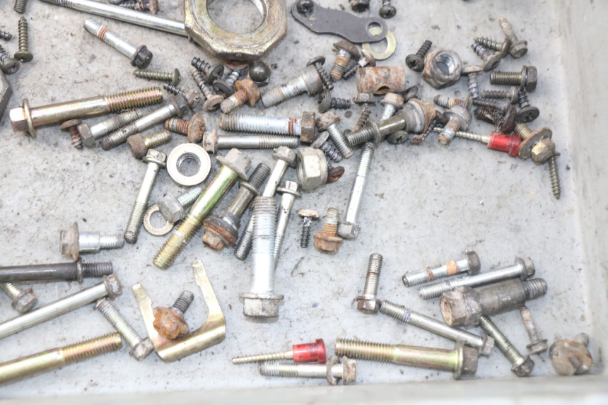 photo de SACCHETTO VITI VITE PEUGEOT SV 80 (1993 - 1997) - Zoom sullo stato d'uso