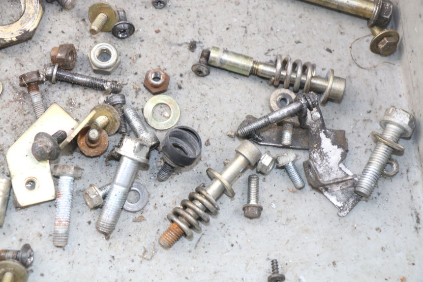 photo de SACCHETTO VITI VITE PEUGEOT SV 80 (1993 - 1997) - Zoom sullo stato d'uso