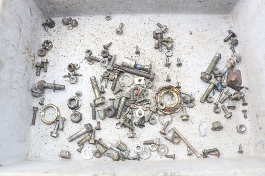 photo de SACCHETTO VITI VITE BAOTIAN TRAVEL SPIRIT 50 (2010 - 2012) - Vista principale