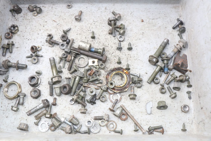 photo de SACCHETTO VITI VITE BAOTIAN TRAVEL SPIRIT 50 (2010 - 2012) - Dettaglio del componente