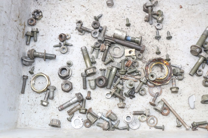 photo de SACCHETTO VITI VITE BAOTIAN TRAVEL SPIRIT 50 (2010 - 2012) - Zoom sullo stato d'uso