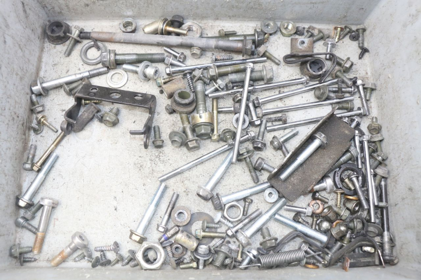 photo de SACCHETTO VITI VITE PEUGEOT TWEET ACTIVE 4T 50 (2018 - 2022) - Vista principale