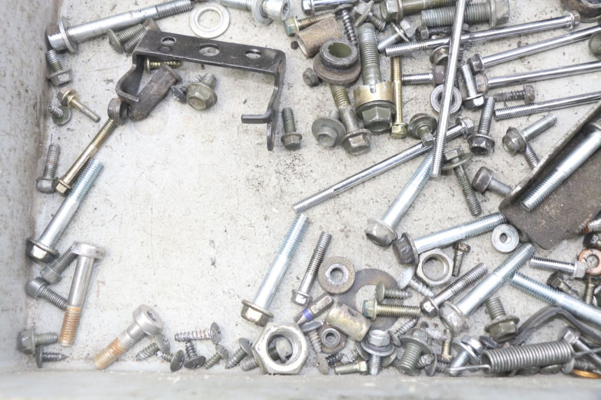 photo de SACCHETTO VITI VITE PEUGEOT TWEET ACTIVE 4T 50 (2018 - 2022) - Zoom sullo stato d'uso