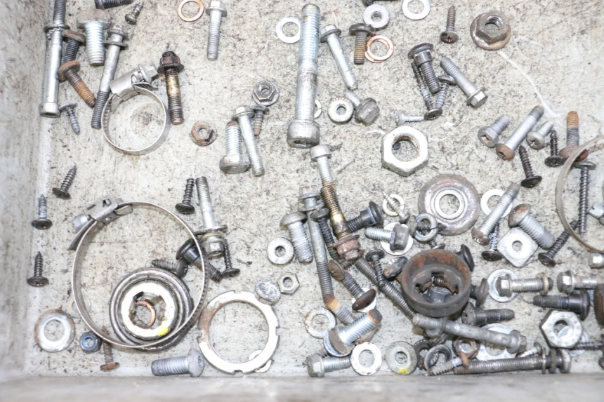 photo de SAC VITI BULLONI PIAGGIO VESPA GTS SUPER IE 125 (2009 - 2016) - Altra angolazione