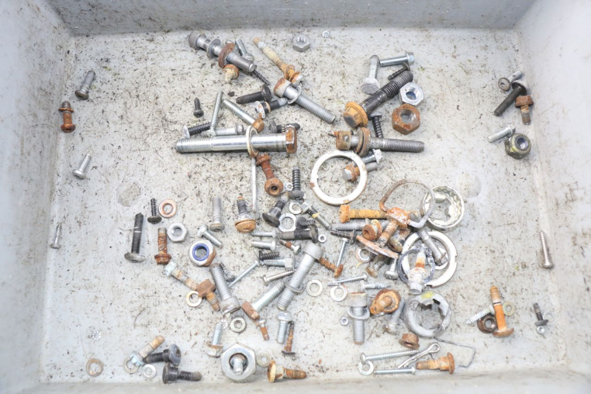 photo de SACCHETTO VITI VITE PIAGGIO VESPA LX IE 125 (2010 - 2012) - Vista principale