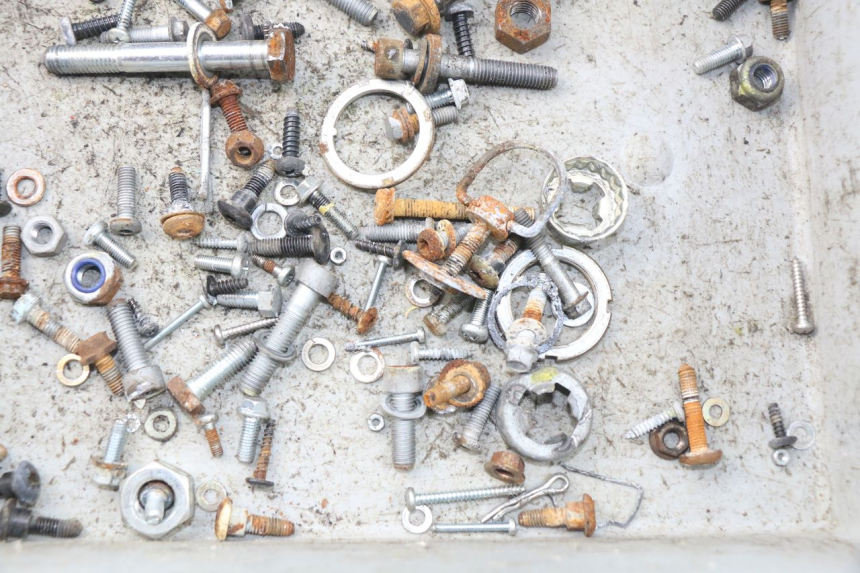 photo de SACCHETTO VITI VITE PIAGGIO VESPA LX IE 125 (2010 - 2012) - Zoom sullo stato d'uso