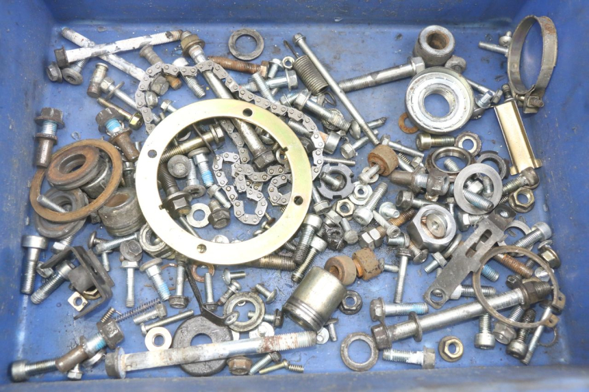 photo de SAC VITI VITE DAELIM VJ ROADWIN FI 125 (2008 - 2017) - Dettaglio del componente