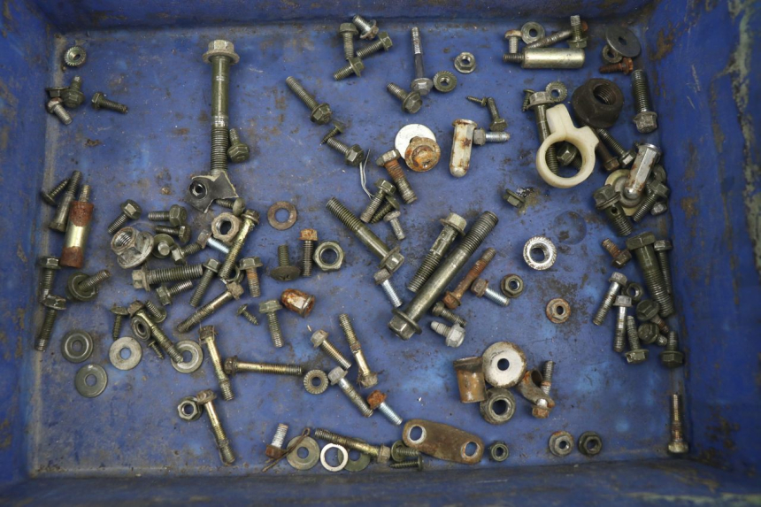 photo de SACCHETTO VITI VITE BHM WACO 4T 50 (2008 - 2015) - Vista principale