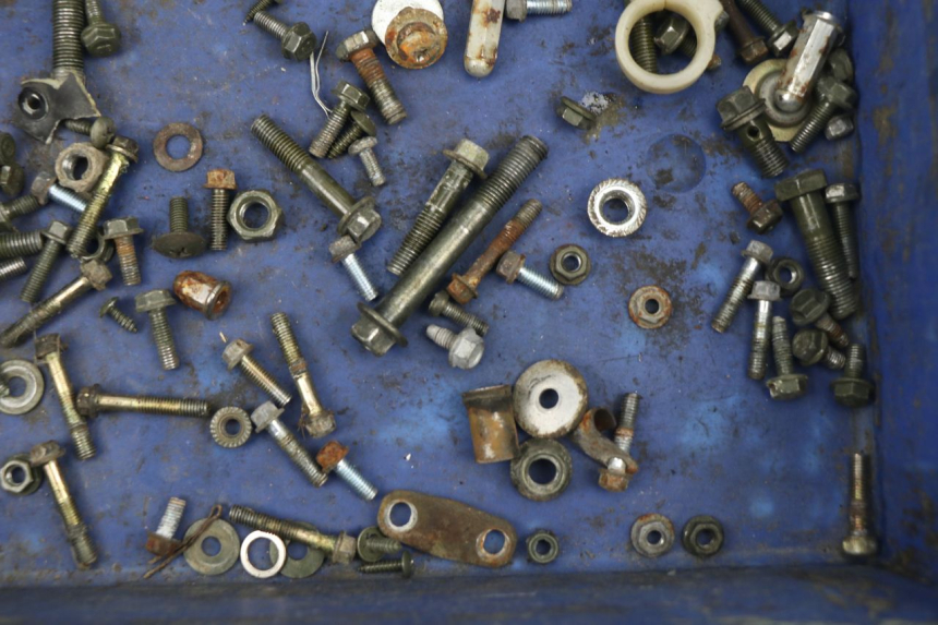 photo de SACCHETTO VITI VITE BHM WACO 4T 50 (2008 - 2015) - Dettaglio del componente