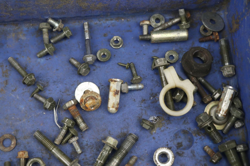 photo de SACCHETTO VITI VITE BHM WACO 4T 50 (2008 - 2015) - Zoom sullo stato d'uso