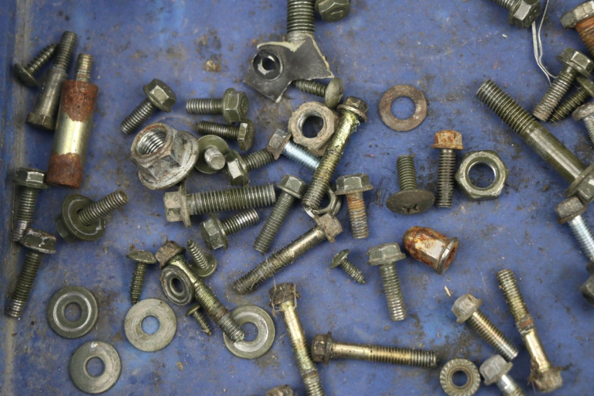 photo de SACCHETTO VITI VITE BHM WACO 4T 50 (2008 - 2015) - Altra angolazione