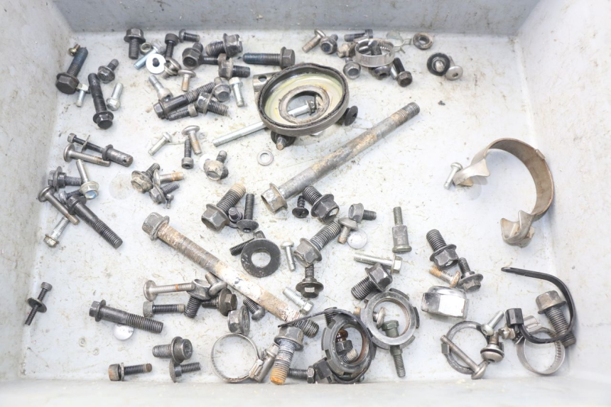 photo de SACCHETTO VITI VITE YAMAHA WR R 125 (2009 - 2017) - Vista principale