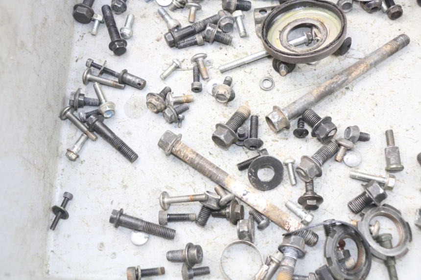 photo de SACCHETTO VITI VITE YAMAHA WR R 125 (2009 - 2017) - Dettaglio del componente