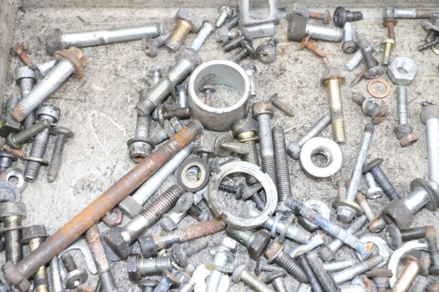 photo de SAC VITI VITE PIAGGIO X8 125 (2004 - 2007) - Zoom sullo stato d'uso