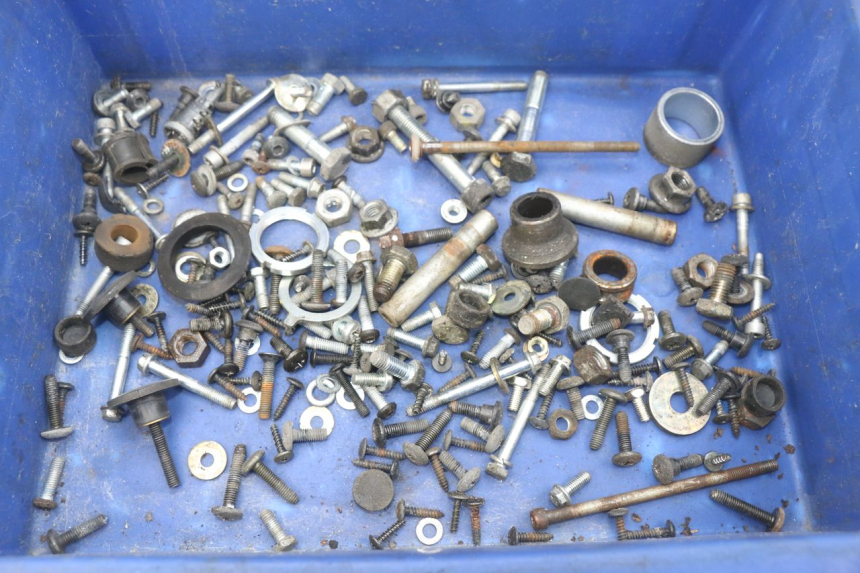 photo de SAC VITI BULLONI PIAGGIO X9 EVOLUTION 250 (2003 - 2007) - Vista principale