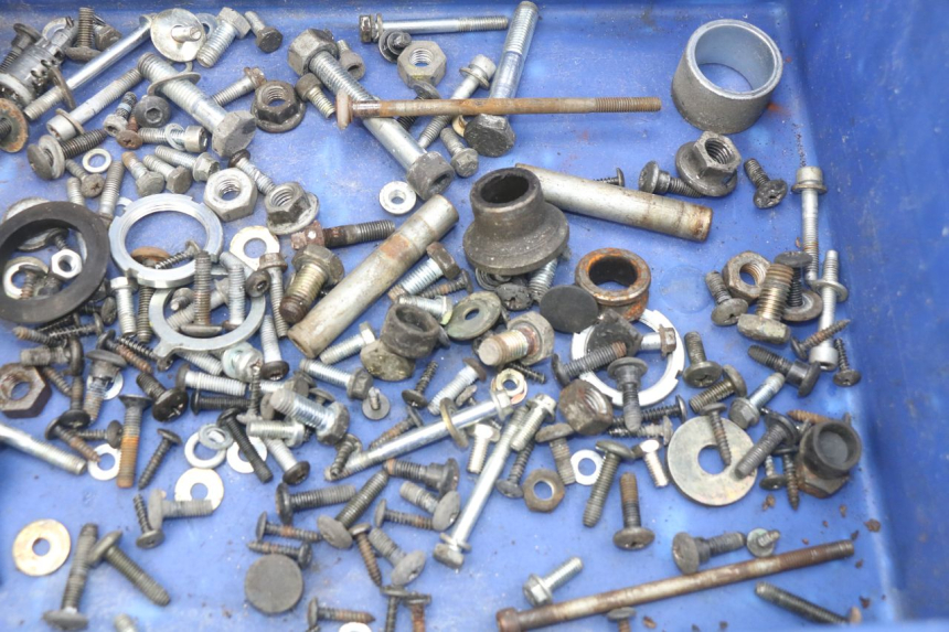 photo de SAC VITI BULLONI PIAGGIO X9 EVOLUTION 250 (2003 - 2007) - Dettaglio del componente