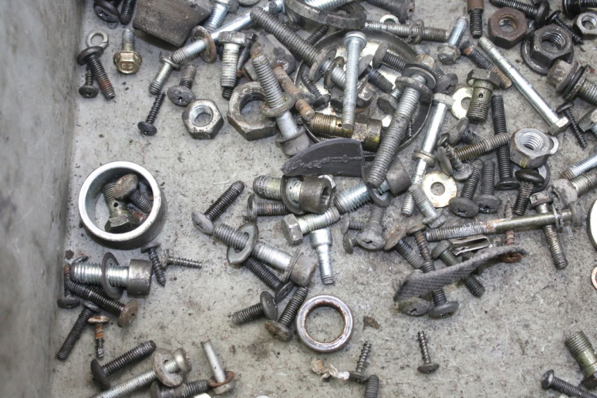 photo de SAC VITI BULLONI PIAGGIO X9 EVOLUTION 250 (2003 - 2007) - Zoom sullo stato d'uso