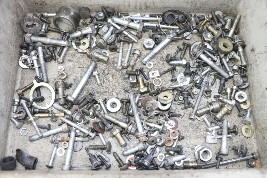 photo de SAC VITI BULLONERIA PIAGGIO X9 EVOLUTION 125 (2003 - 2007) - Vista principale