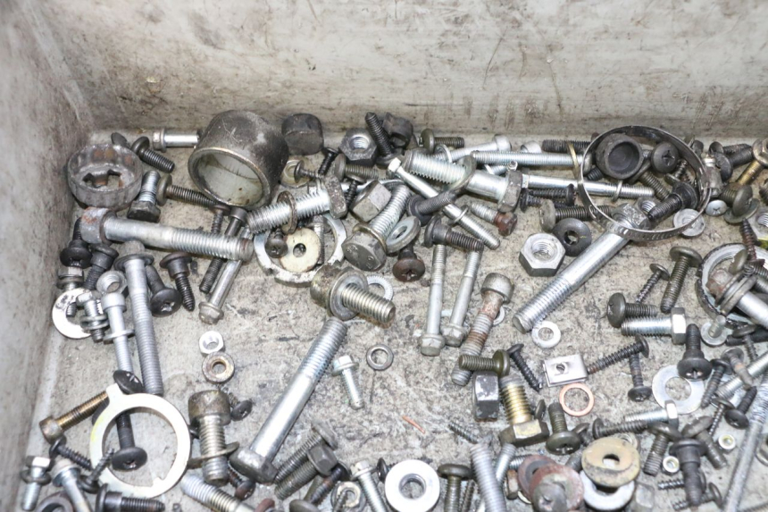 photo de SAC VITI BULLONERIA PIAGGIO X9 EVOLUTION 125 (2003 - 2007) - Zoom sullo stato d'uso