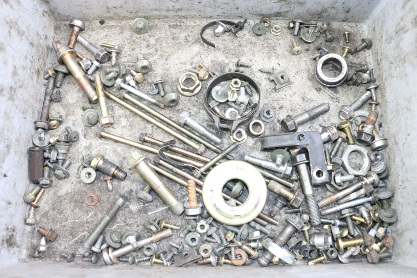 photo de VITI KYMCO XCITING 250 (2006 - 2009) - Vista principale