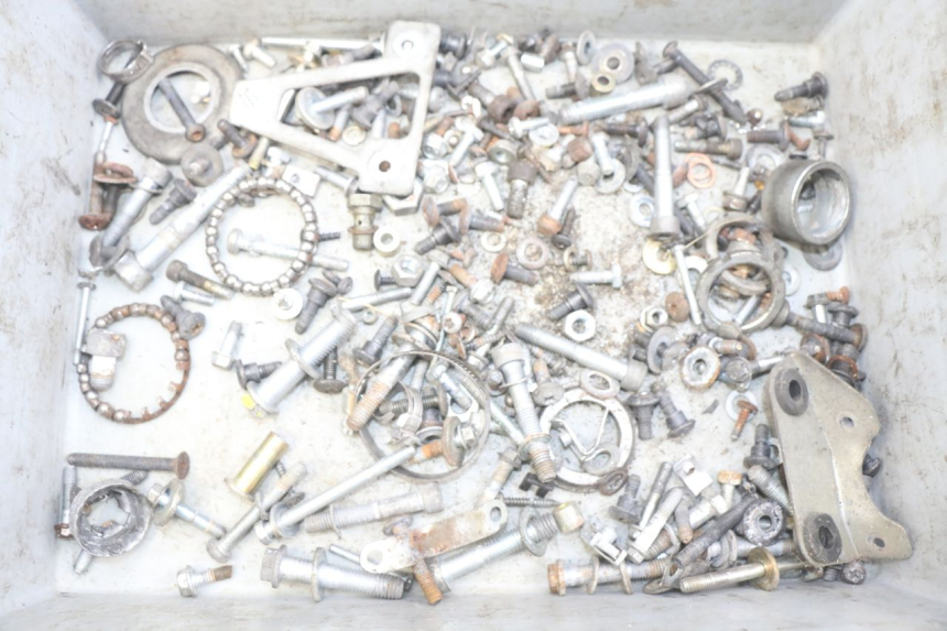 photo de SAC VITI BULLONE PIAGGIO XEVO - X EVO 125 (2007 - 2017) - Vista principale