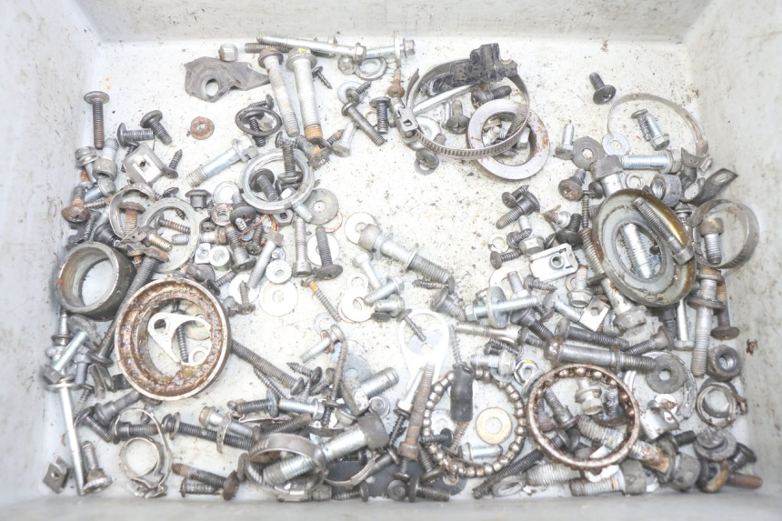 photo de SAC VITI BULLONE PIAGGIO XEVO - X EVO 125 (2007 - 2017) - Vista principale