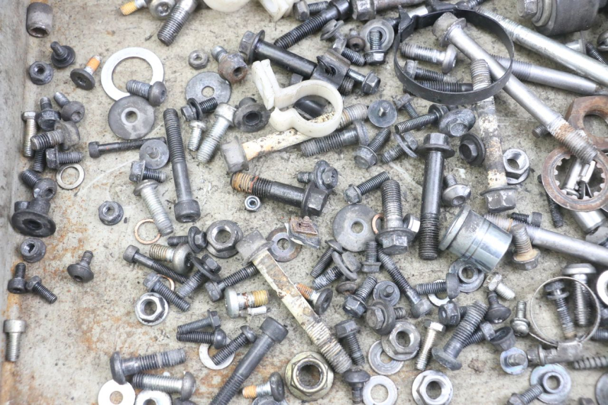 photo de SAC VITI BULLONE YAMAHA XT X 660 (2004 - 2016) - Dettaglio del componente