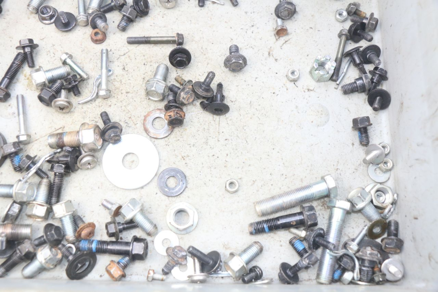 photo de SAC VITI BULLONERIA YAMAHA YFM R RAPTOR 90 (2017 - 2023) - Dettaglio del componente