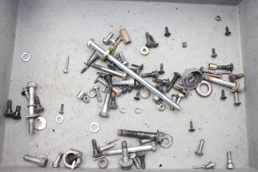 photo de SAC VITI VITE PIAGGIO ZIP 2T 50 (2009 - 2019) - Vista principale