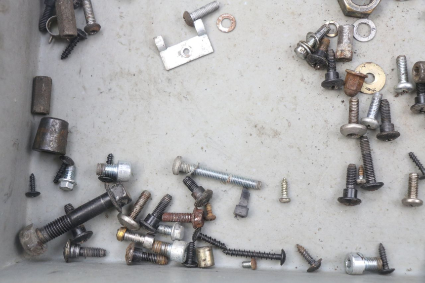 photo de SAC VITI VITE PIAGGIO ZIP 4T 50 (2006 - 2017) - Dettaglio del componente