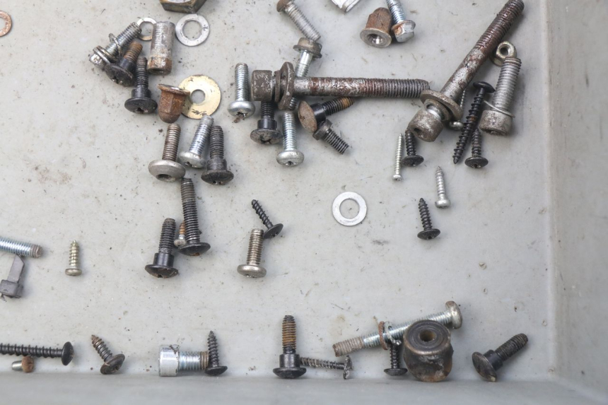 photo de SAC VITI VITE PIAGGIO ZIP 4T 50 (2006 - 2017) - Zoom sullo stato d'uso