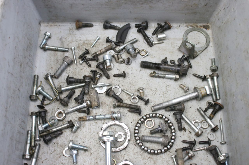 photo de SAC VITI BULLONI PIAGGIO ZIP 4T 50 (2018 - 2020) - Zoom sullo stato d'uso