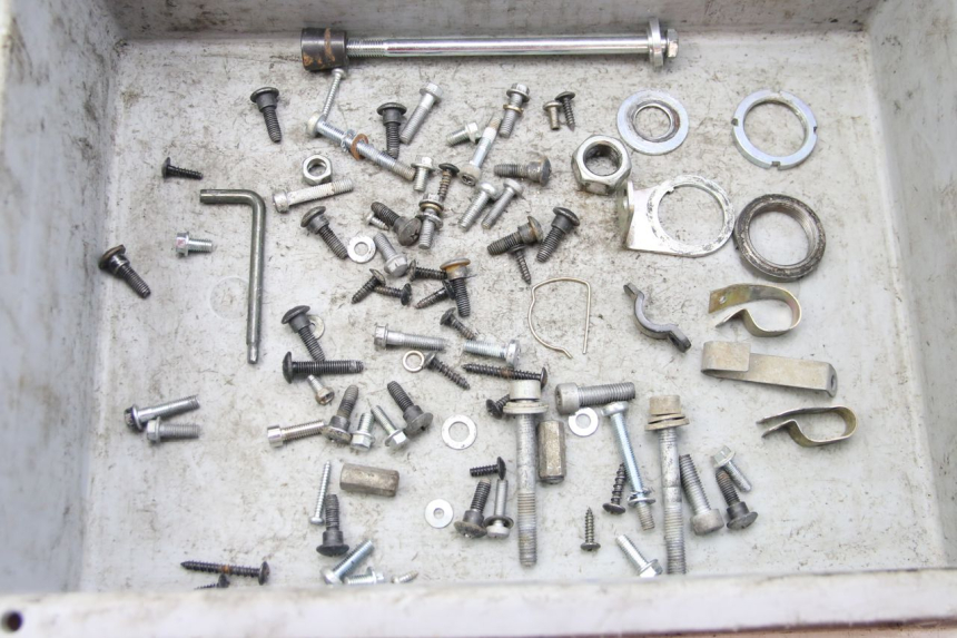 photo de SAC VITI BULLONI PIAGGIO ZIP 4T 50 (2018 - 2020) - Vista principale