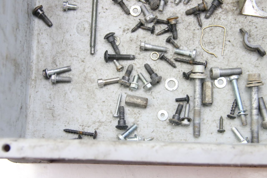 photo de SAC VITI BULLONI PIAGGIO ZIP 4T 50 (2018 - 2020) - Zoom sullo stato d'uso