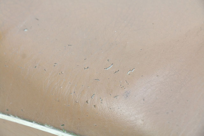 photo de SELLE RIDE CLASSIC 2T 50 (2014 - 2022) - Caratteristiche distintive