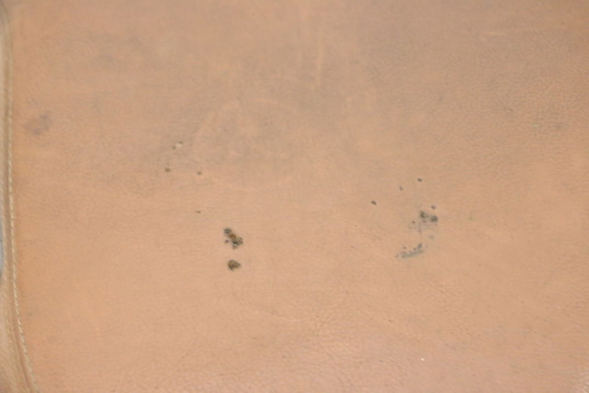 photo de SELLA SEGWAY NINEBOT E125S 1 (2022 - 2026) - Panoramica del profilo