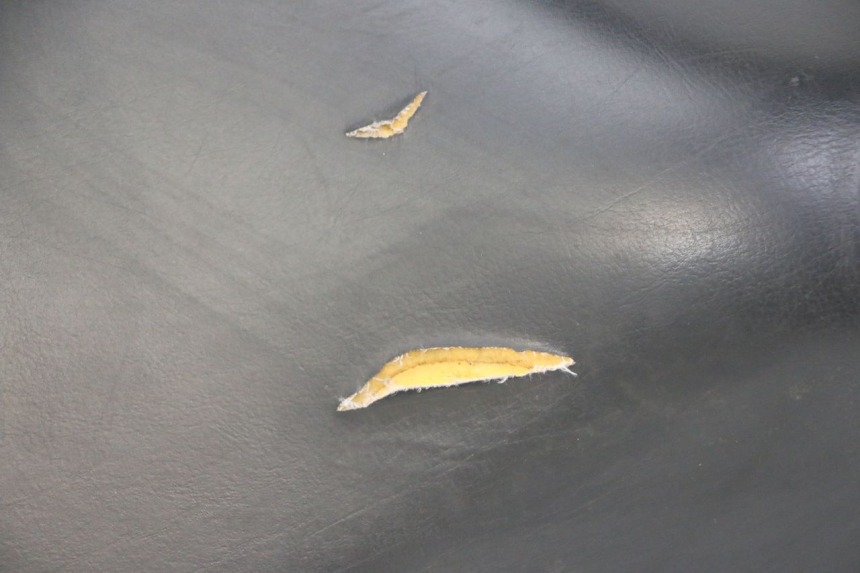 photo de SELLE PEUGEOT ELYSTAR 50 (2002 - 2014) - Ispezione visiva dettagliata