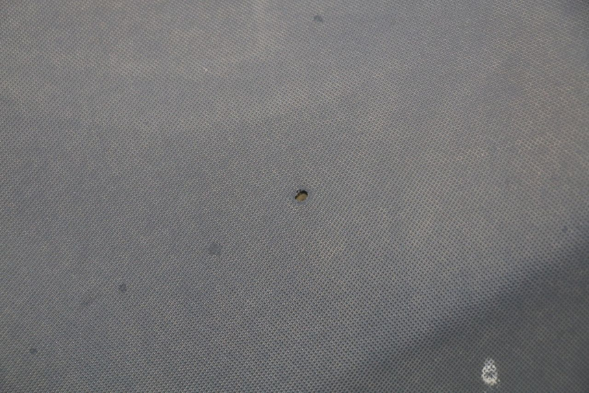 photo de SELLA JONWAY GTX 2T 50 (2014 - 2020) - Primo piano ad alta risoluzione