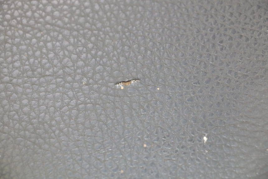 photo de SELLE PEUGEOT KISBEE 2T 50 (2010 - 2017) - Vista d'insieme del prodotto