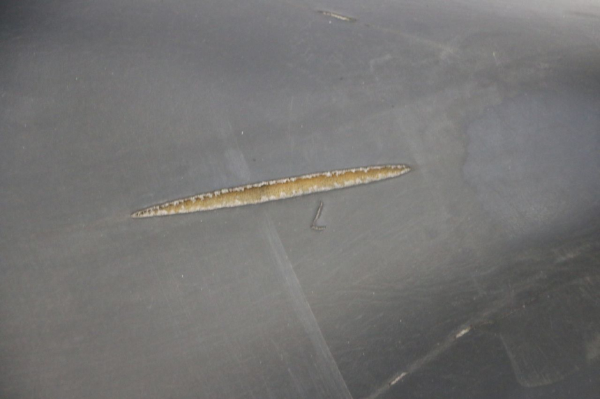 photo de SELLA PIAGGIO LIBERTY 125 (1998 - 2008) - Zoom sullo stato d'uso