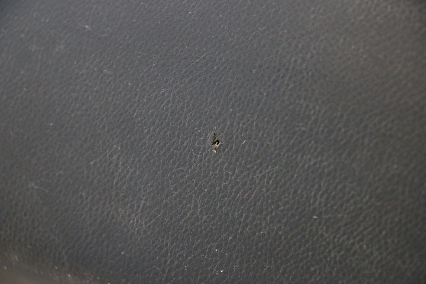 photo de SELLA PEUGEOT LUDIX ONE 50 (2004 - 2013) - Altra angolazione