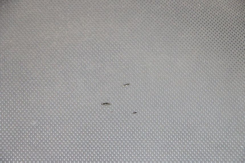 photo de SELLA MBK MACH G AC 50 (2002 - 2014) - Zoom sui componenti