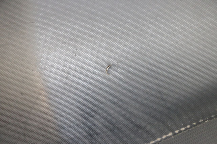 photo de SELLE PIAGGIO NEW TYPHOON 50 (2018 - 2021) - Vista d'insieme del prodotto