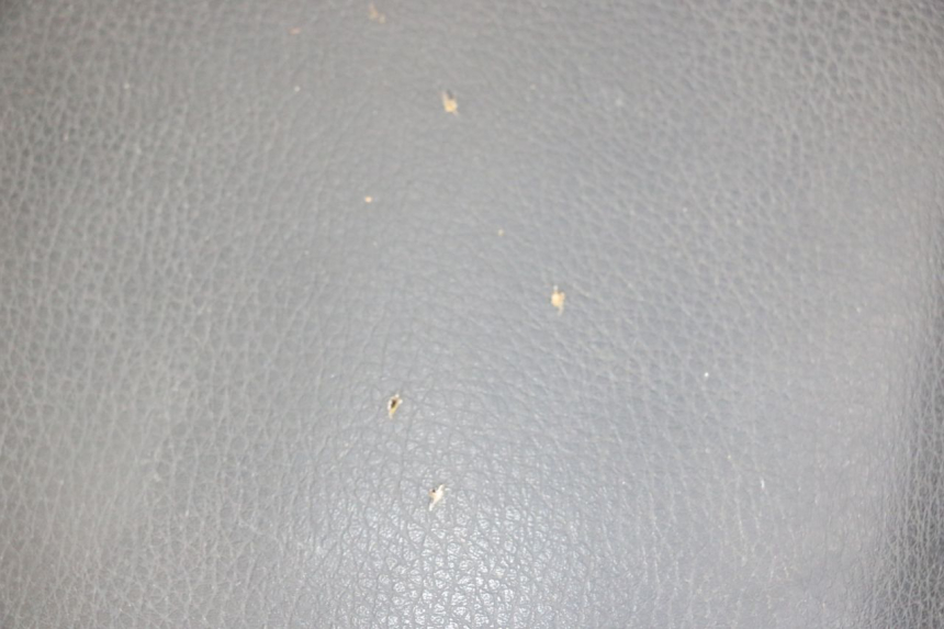 photo de SELLE SYM ORBIT 2 4T 50 (2008 - 2017) - Altra angolazione