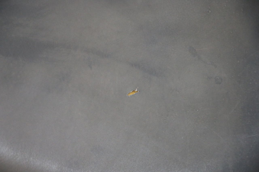 photo de SELLE PEUGEOT LUDIX 50 (2008 - 2017) - Dettagli dei punti di fissaggio